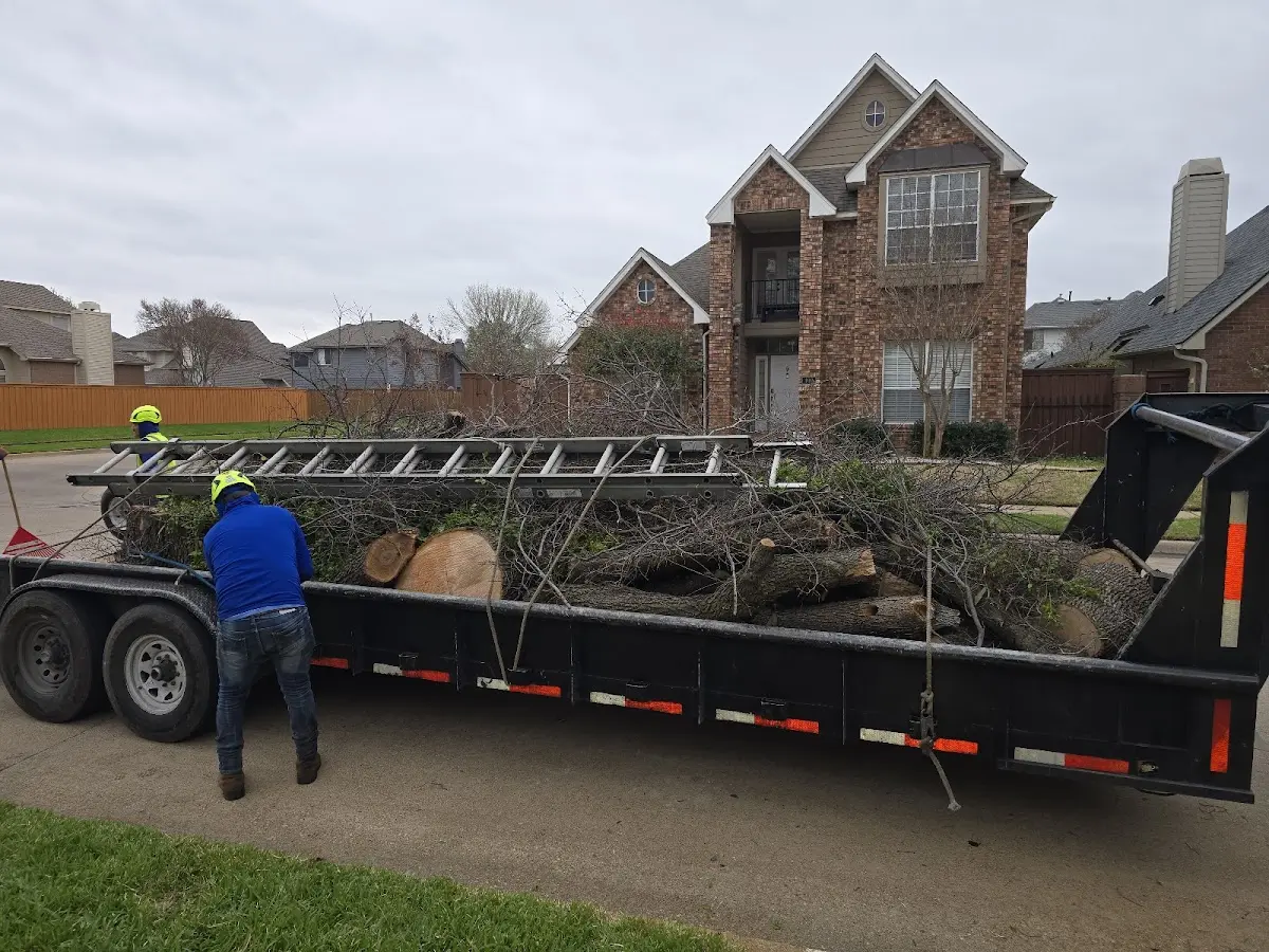 Expert Lot Clearing with proper safety equipment in Labelle
